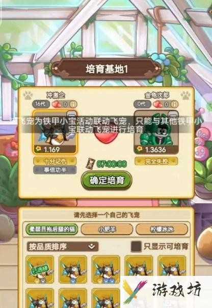 《冒险大作战》铁甲小宝联动飞宠培育及注意