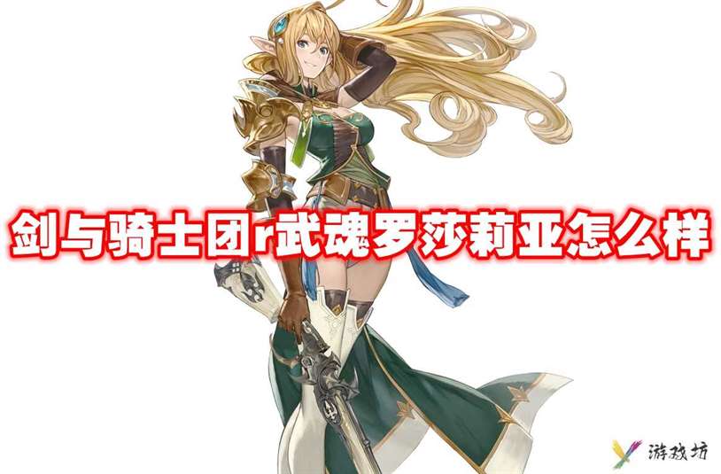 剑与骑士团r武魂罗莎莉亚怎么样