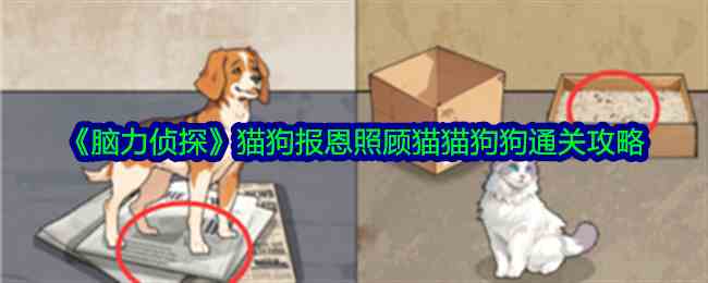 《脑力侦探》猫狗报恩照顾猫猫狗狗通关攻略
