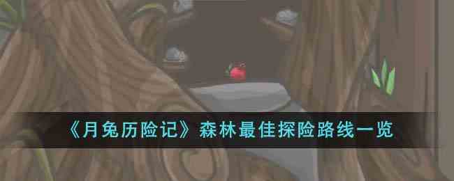 《月兔历险记》森林最佳探险路线一览