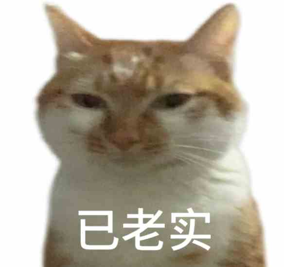 已老实求放过表情包大全