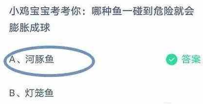 小鸡宝宝考考你：哪种鱼一碰到危险就会膨胀成球