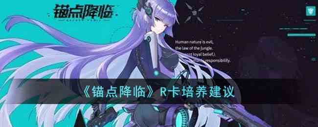 《锚点降临》R卡培养建议