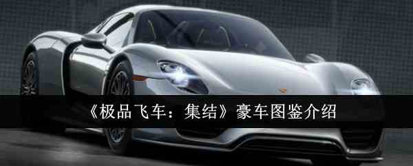 《极品飞车：集结》豪车图鉴介绍