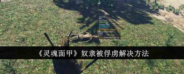 《灵魂面甲》奴隶被俘虏解决方法