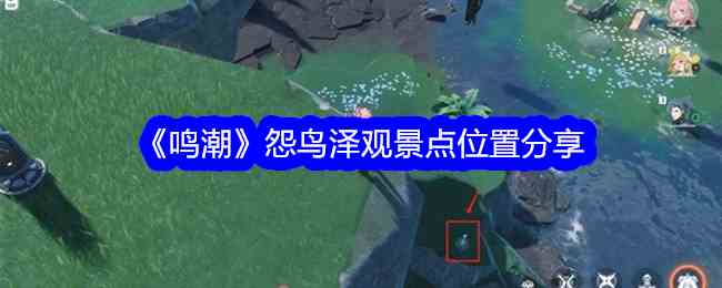 《鸣潮》怨鸟泽观景点位置分享
