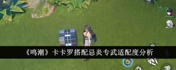 《鸣潮》卡卡罗搭配忌炎专武适配度分析