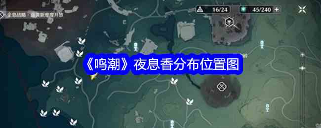 《鸣潮》夜息香分布位置图