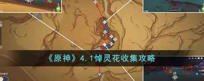 《原神》4.1悼灵花收集攻略