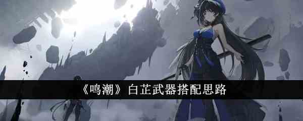 《鸣潮》白芷武器搭配思路