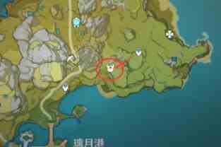 《原神》大伟丘15个刷新地点汇总
