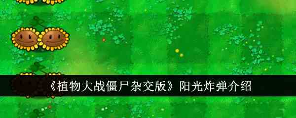《植物大战僵尸杂交版》阳光炸弹介绍