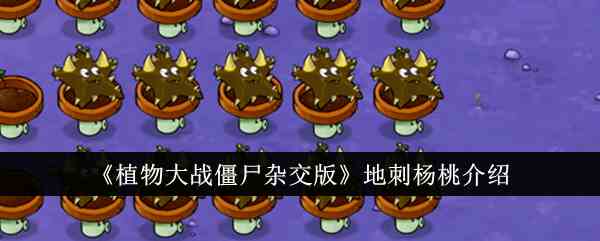 《植物大战僵尸杂交版》地刺杨桃介绍