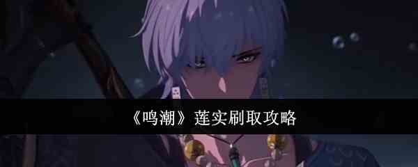 《鸣潮》莲实刷取攻略