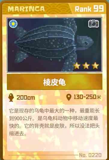 《潜水员戴夫》棱皮龟抓捕攻略