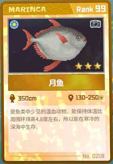 《潜水员戴夫》月鱼抓捕攻略