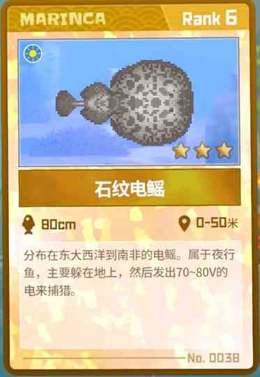 《潜水员戴夫》石纹电鳐抓捕攻略