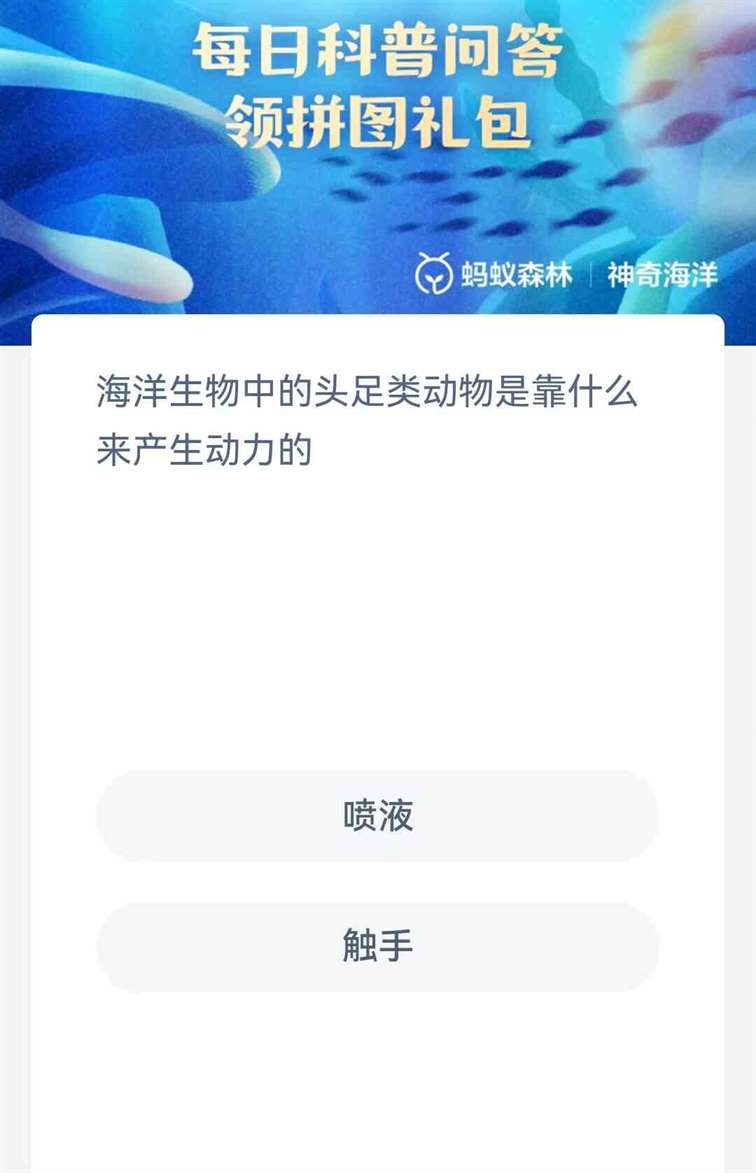 海洋生物中的头足类动物是靠什么来产生动力的