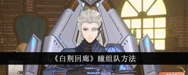 《白荆回廊》瞳组队方法