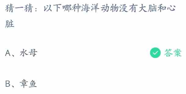 以下哪种海洋动物没有大脑和心脏