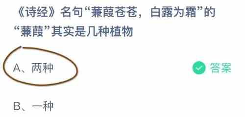 诗经名句蒹葭苍苍白露为霜的蒹葭其实是几种植物