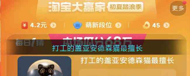 打工的盖亚安德森猫最擅长