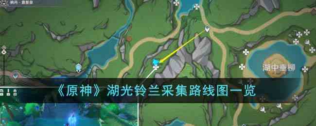 《原神》湖光铃兰采集路线图一览