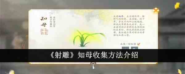 《射雕》知母收集方法介绍