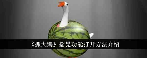 《抓大鹅》摇晃功能打开方法介绍