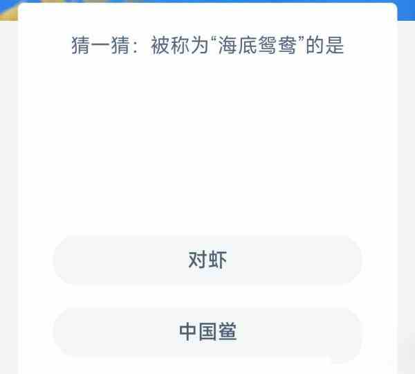 猜一猜被称为海底鸳鸯的是