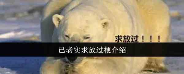 已老实求放过梗介绍