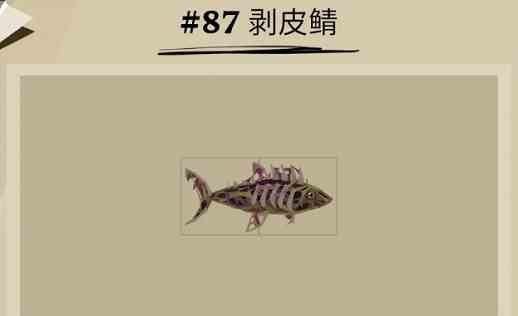 《渔帆暗涌》剥皮鲭位置一览