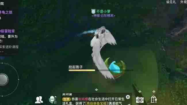 天谕手游寻药之旅任务怎么完成 天谕手游寻药之旅任务攻略流程