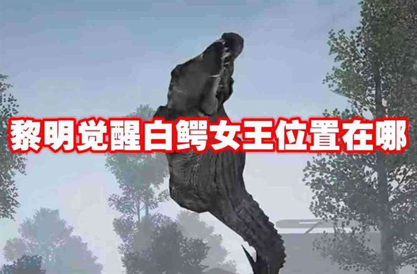 黎明觉醒白鳄女王位置在哪 黎明觉醒白鳄女王位置一览