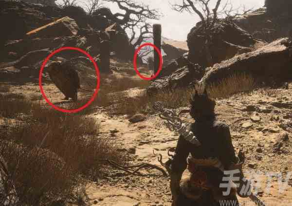黑神话悟空玲珑内丹在哪 黑神话悟空全玲珑内丹位置