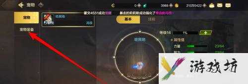 《地下城与勇士：起源》宠物装备分解攻略