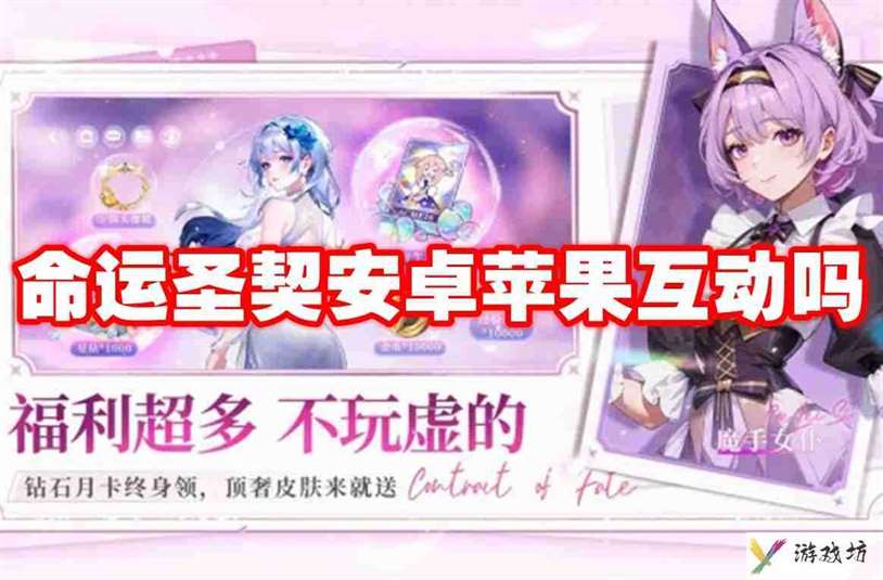 命运圣契安卓苹果互动吗 命运圣契安卓苹果互通机制介绍