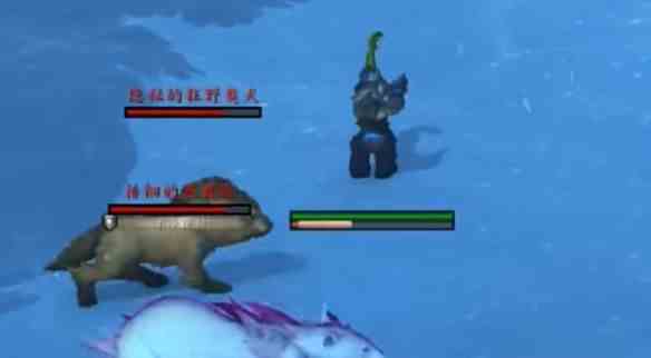 《魔兽世界》紫色绿色冰晶熊捕捉方法介绍6