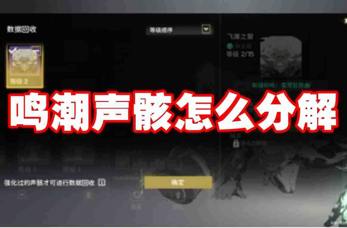 鸣潮声骸怎么分解 鸣潮声骸分解方法