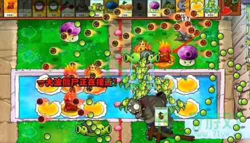 《植物大战僵尸杂交版》2.5版本新增植物