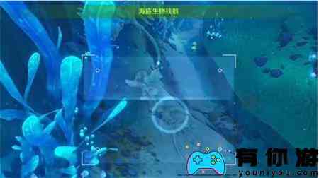 原神水下沉落物位置一览
