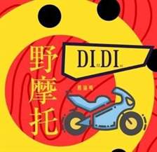 激燃动感之旅：探秘《野摩托之歌》背后的神秘作者！