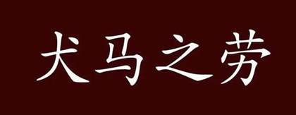 犬马之劳是哪个生肖？犬马之劳的含义是什么？