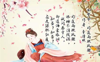 《知否知否应是绿肥红瘦》中的“红瘦”是指哪种花？