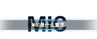 MIC缩写解析：揭秘MIC在电子竞技中的含义与重要性