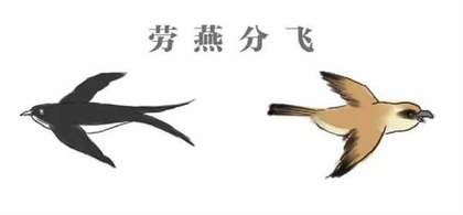 深入探究游戏文化：揭秘‘劳燕分飞’的寓意与游戏中的巧妙运用