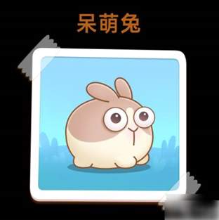 《详解保卫萝卜4呆兔攻略：击败不同类型呆兔的方法与技巧》