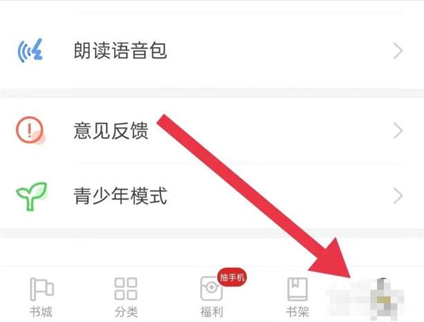 饭团追书翻页设置教程：如何开启横屏双翻页功能