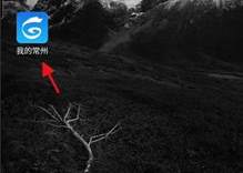 轻松办理婚姻登记：掌握'我的常州' APP结婚预约全攻略