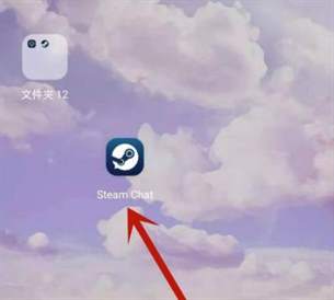 Steam手机令牌设置中文指南：轻松切换至简体中文界面